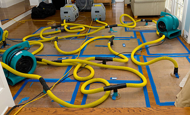 Professional Water Damage Repair technician working in Marshall, WI